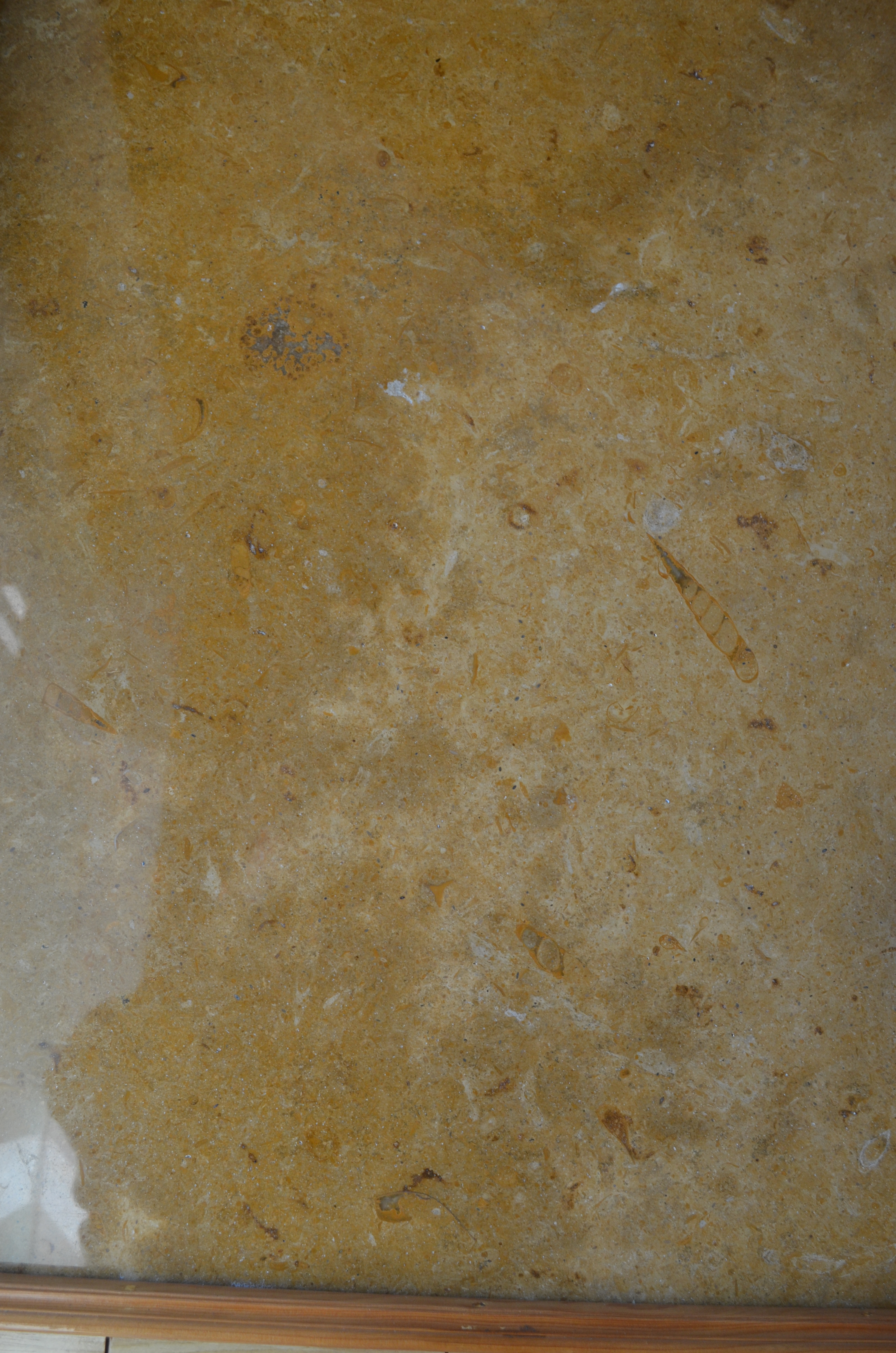 Indus Gold Pakistani marble